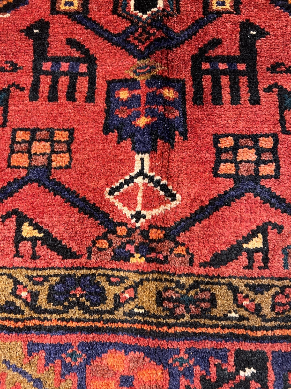 carpet-farshboom-9729441037