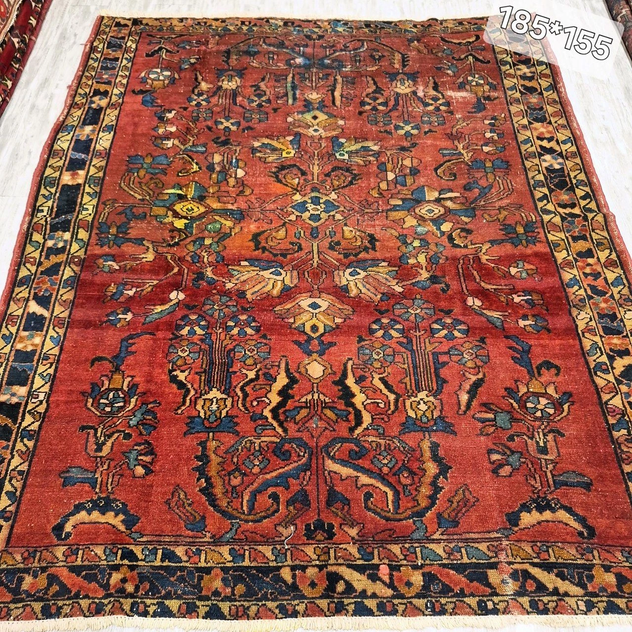 carpet-farshboom-0052361848