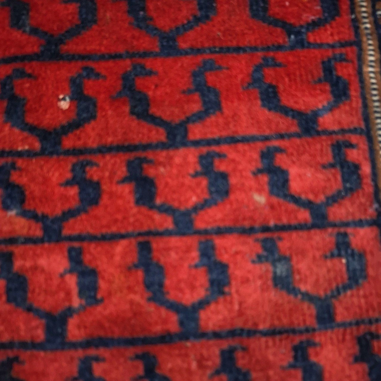 carpet-farshboom-0205729679