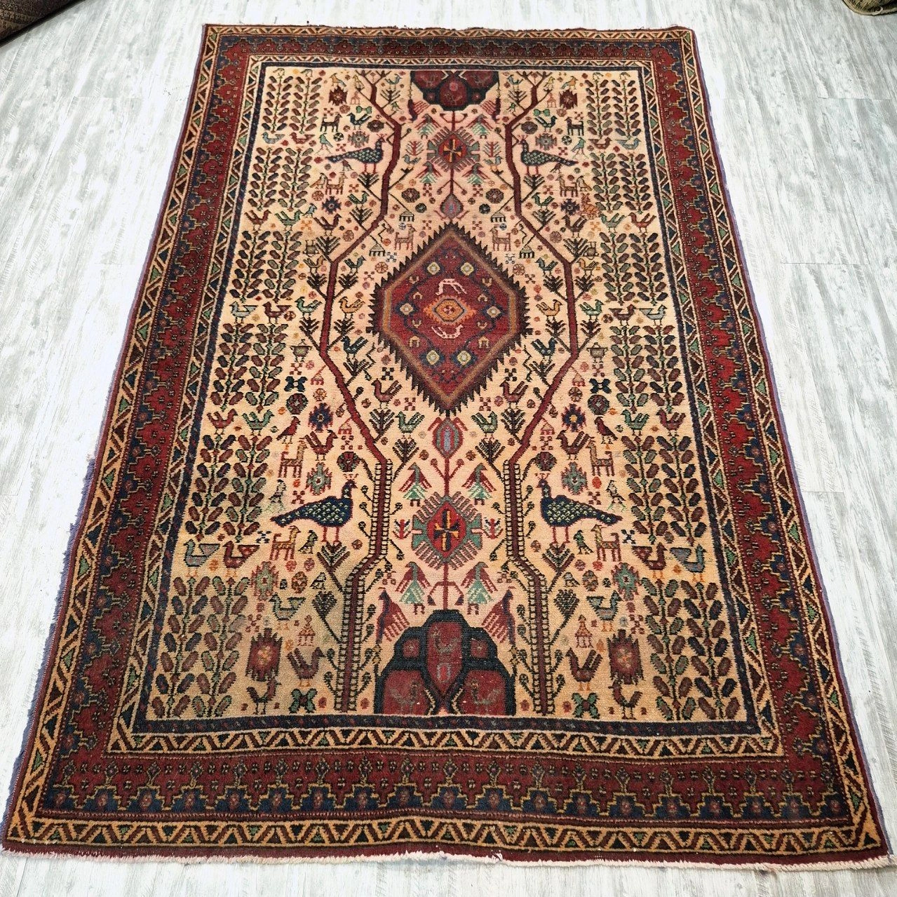 carpet-farshboom-0314420710
