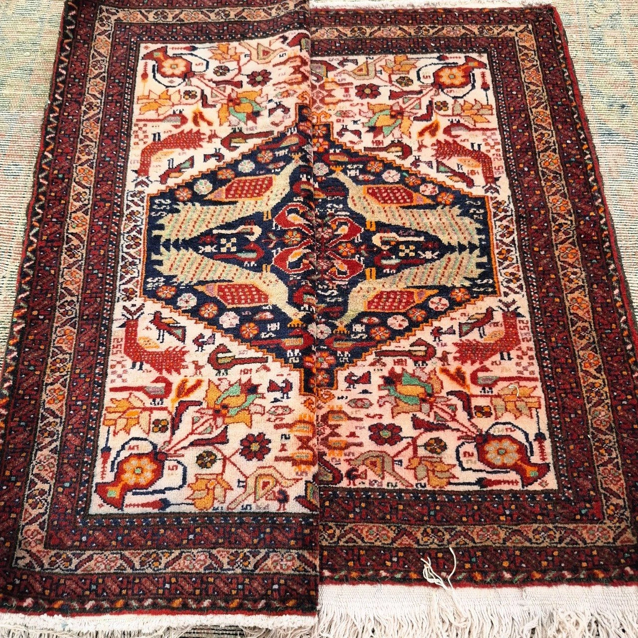 carpet-farshboom-1642161758