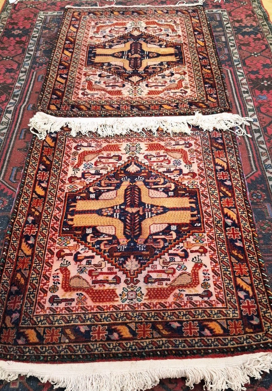 carpet-farshboom-1648146190