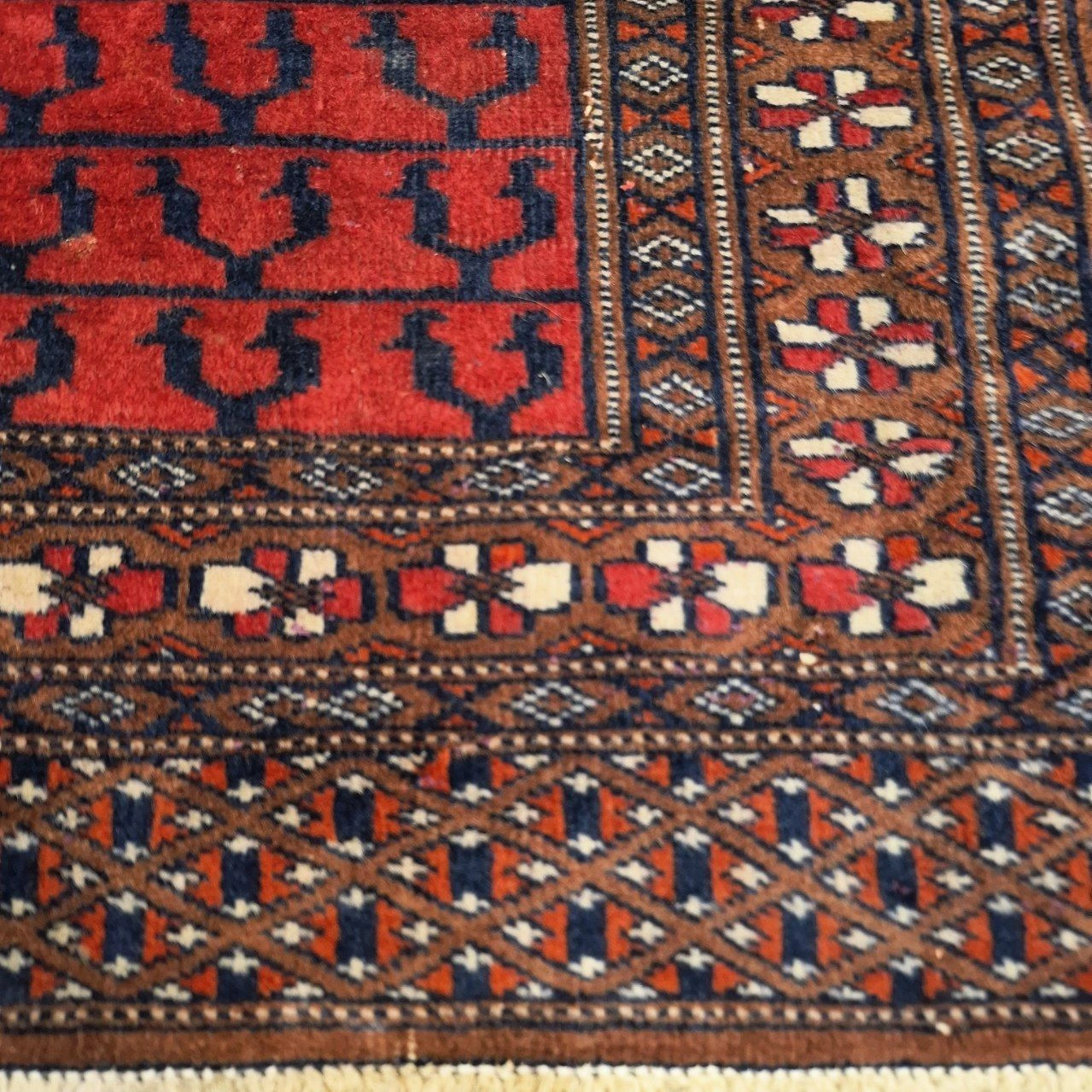carpet-farshboom-1695706739