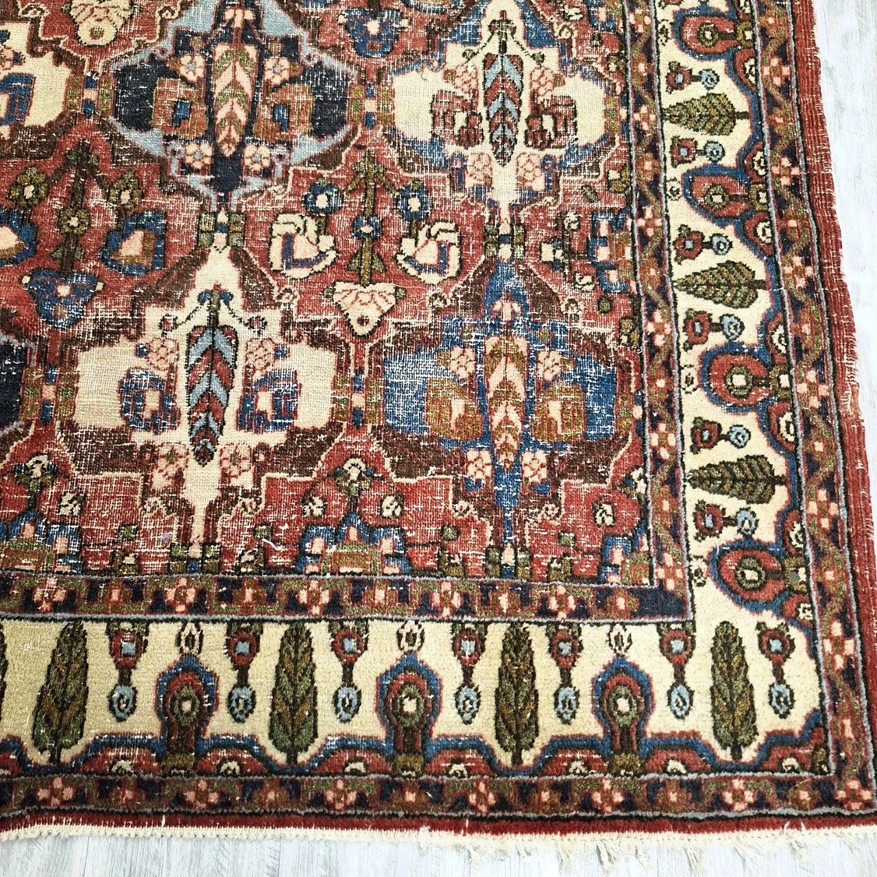 carpet-farshboom-1857007270