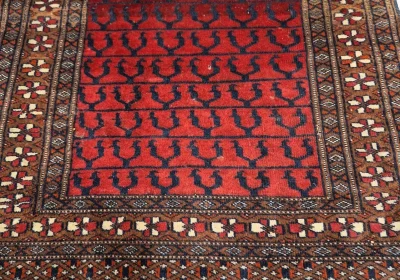 carpet-farshboom-2153801941