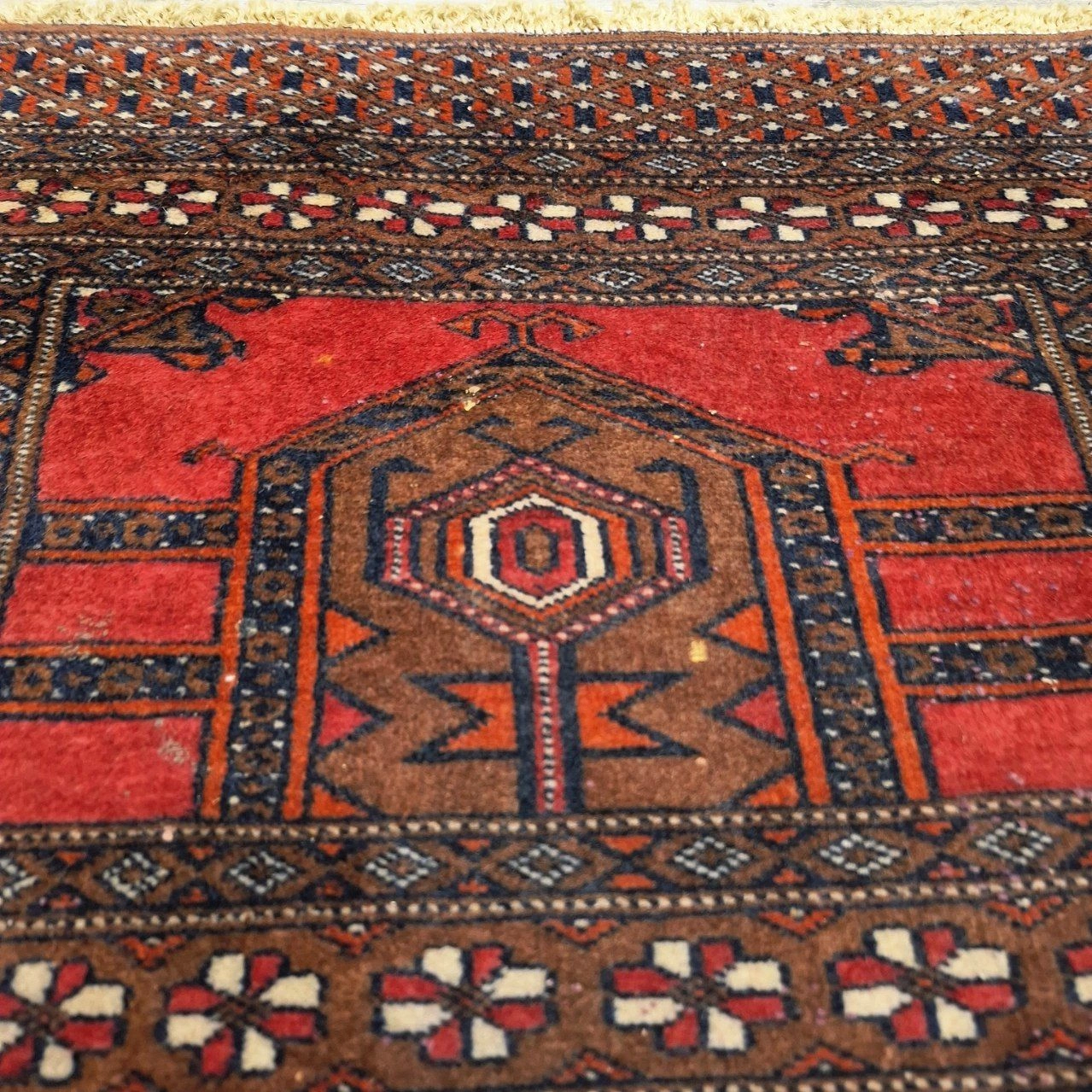 carpet-farshboom-2572651215