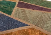 carpet-farshboom-2953404882