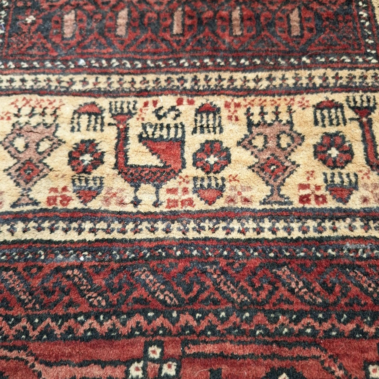 carpet-farshboom-2977504228