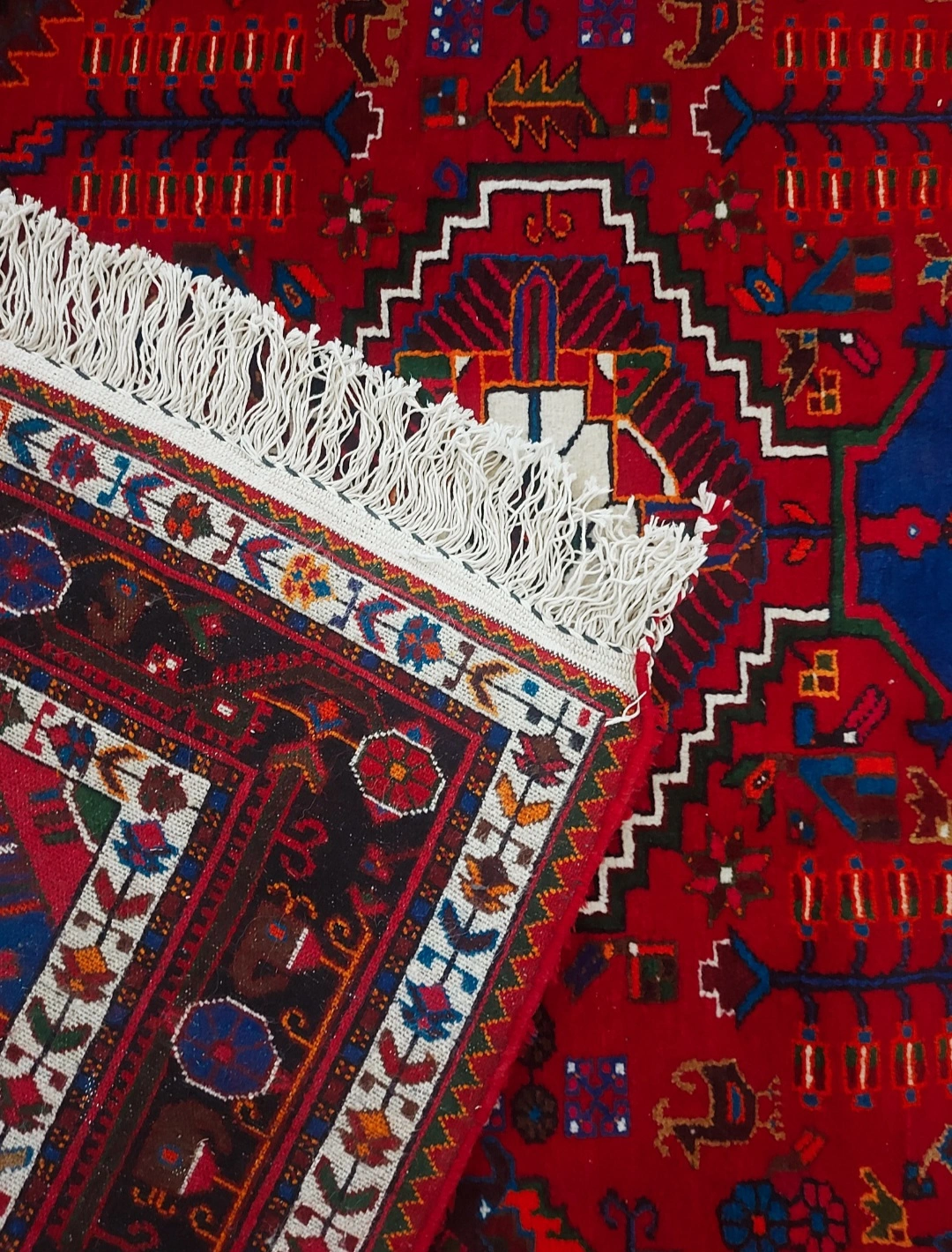 carpet-farshboom-3281568949