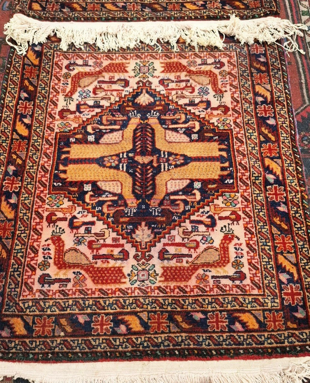 carpet-farshboom-3411806468