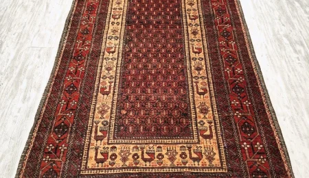 carpet-farshboom-3629925869