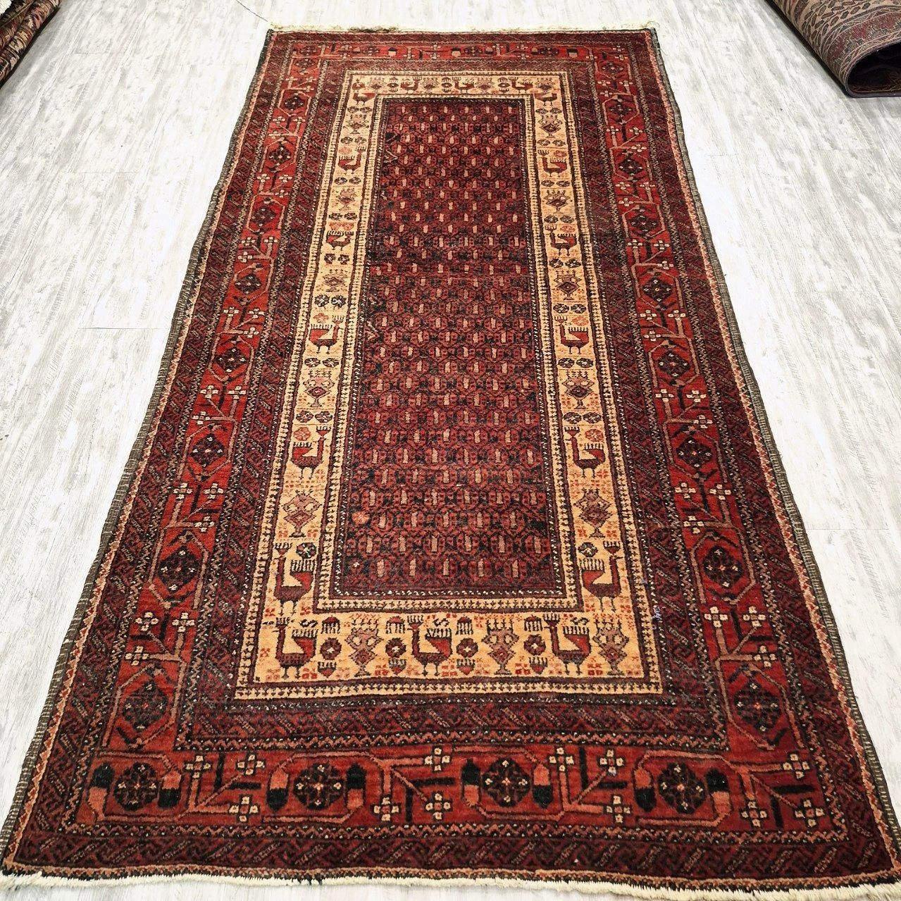 carpet-farshboom-3629925869