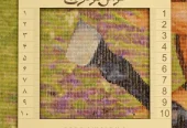 carpet-farshboom-3725964704