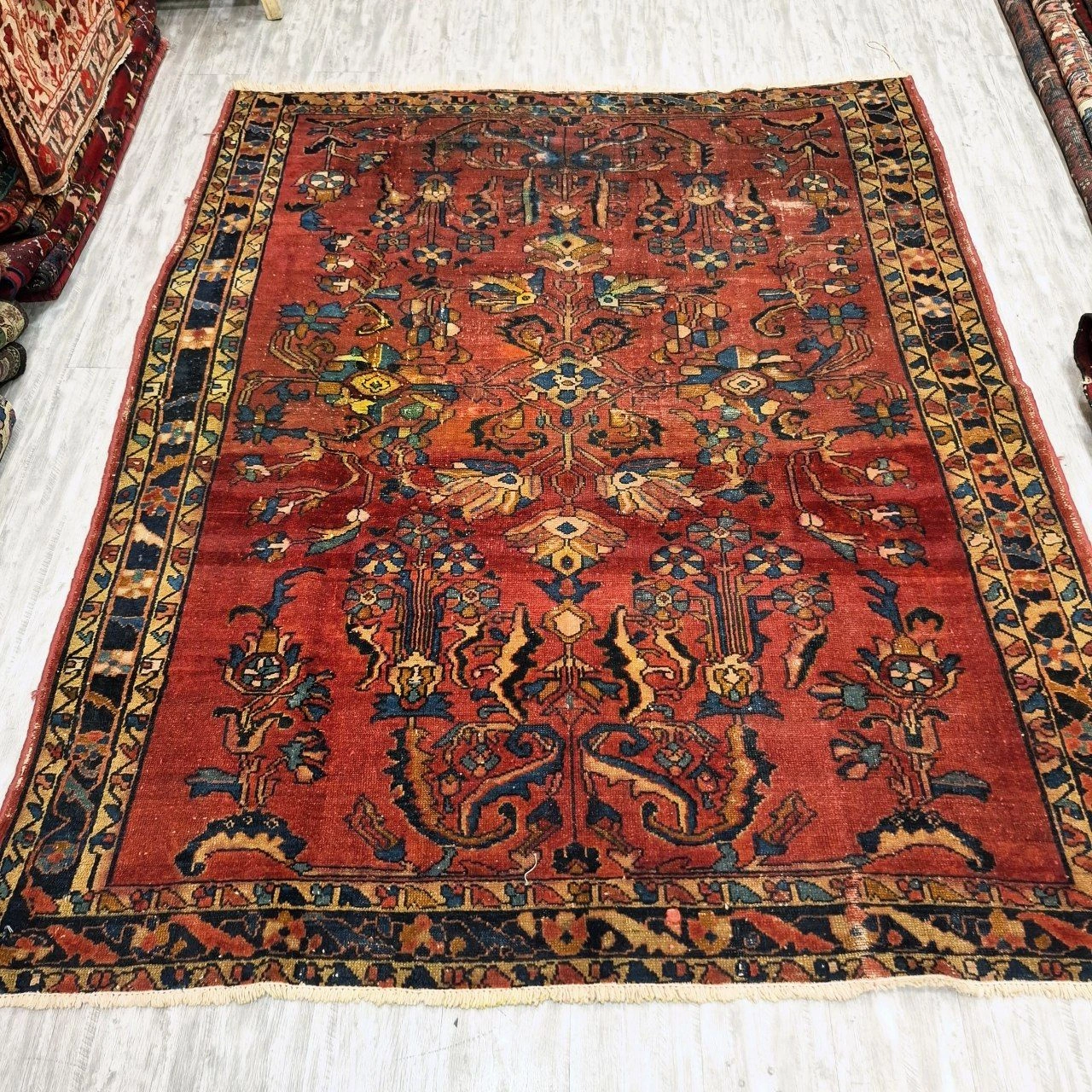 carpet-farshboom-3805549357