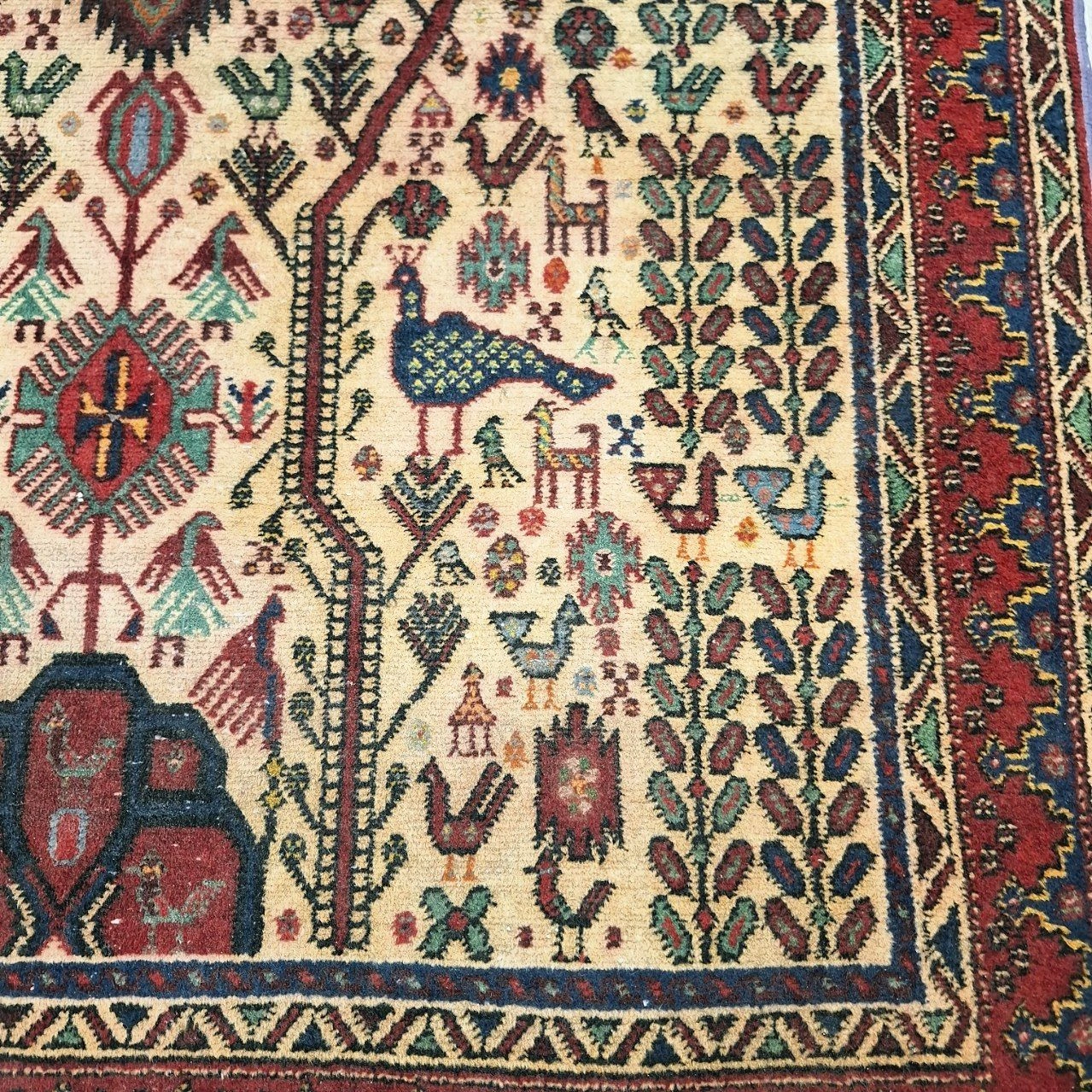carpet-farshboom-3938975595