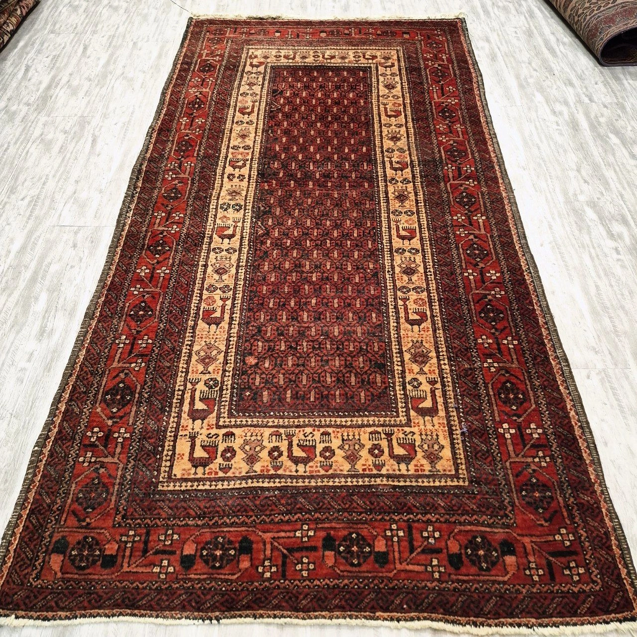 carpet-farshboom-4356682767