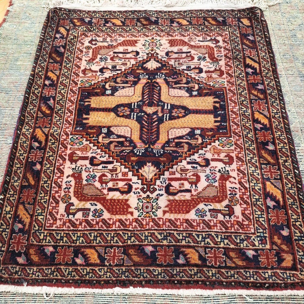 carpet-farshboom-4552765331