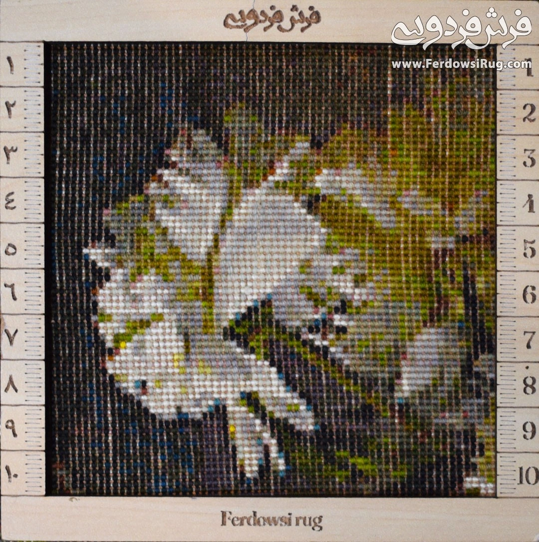 carpet-farshboom-4649283339