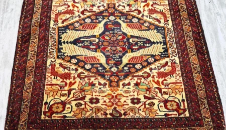 carpet-farshboom-4675845981
