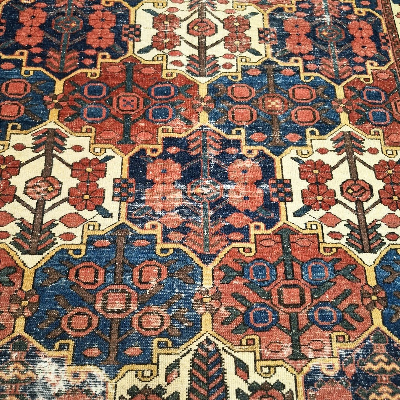 carpet-farshboom-4919451983