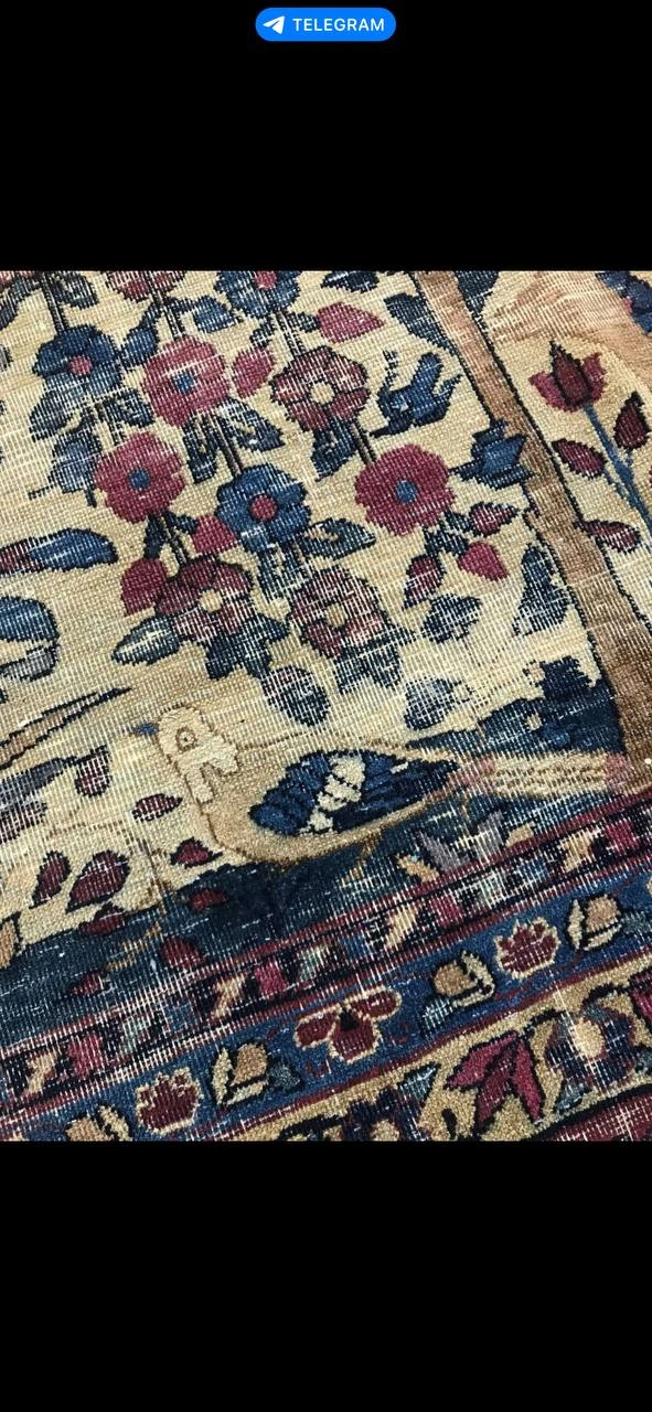 carpet-farshboom-5080914798
