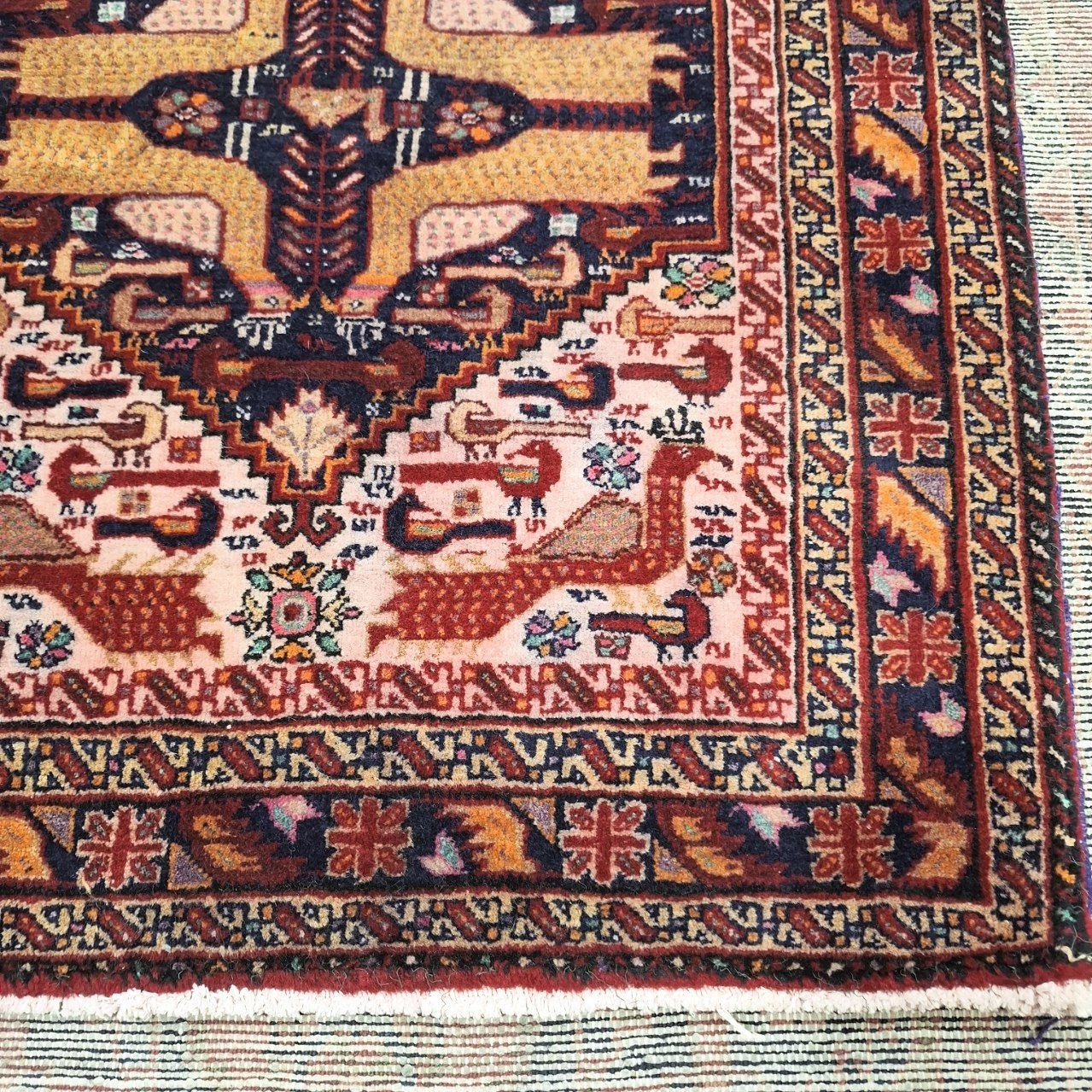 carpet-farshboom-5131160677