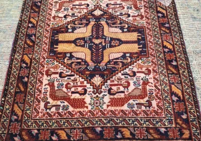 carpet-farshboom-5135104516