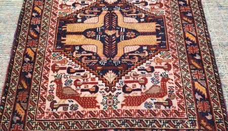 carpet-farshboom-5135104516