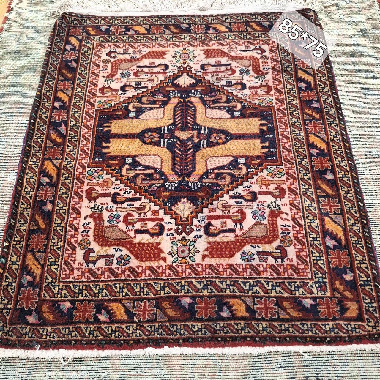 carpet-farshboom-5135104516