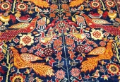 carpet-farshboom-5551659937