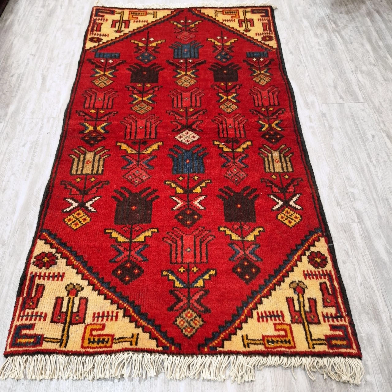 carpet-farshboom-5590144638