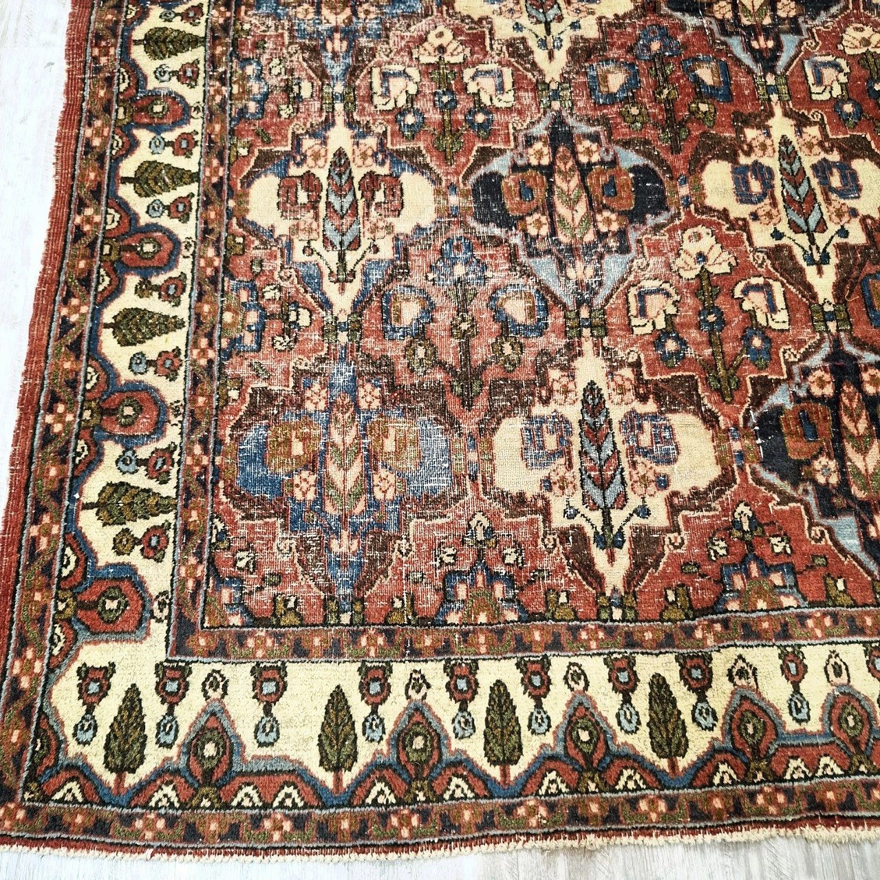carpet-farshboom-5802767770