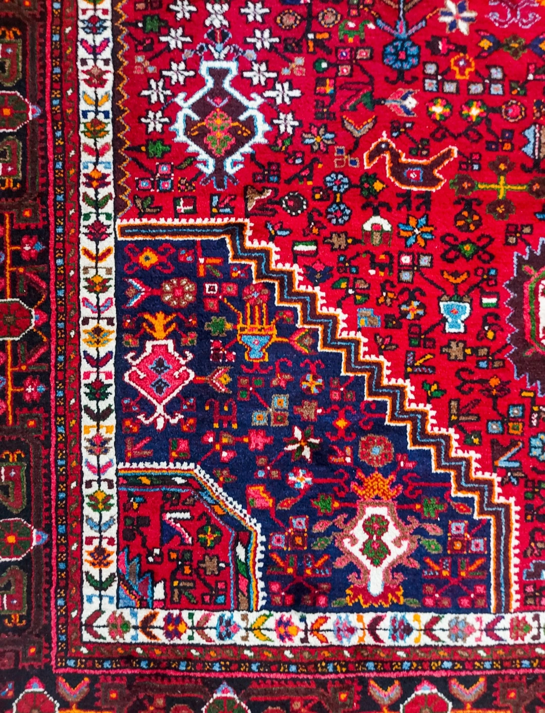 carpet-farshboom-5895827203