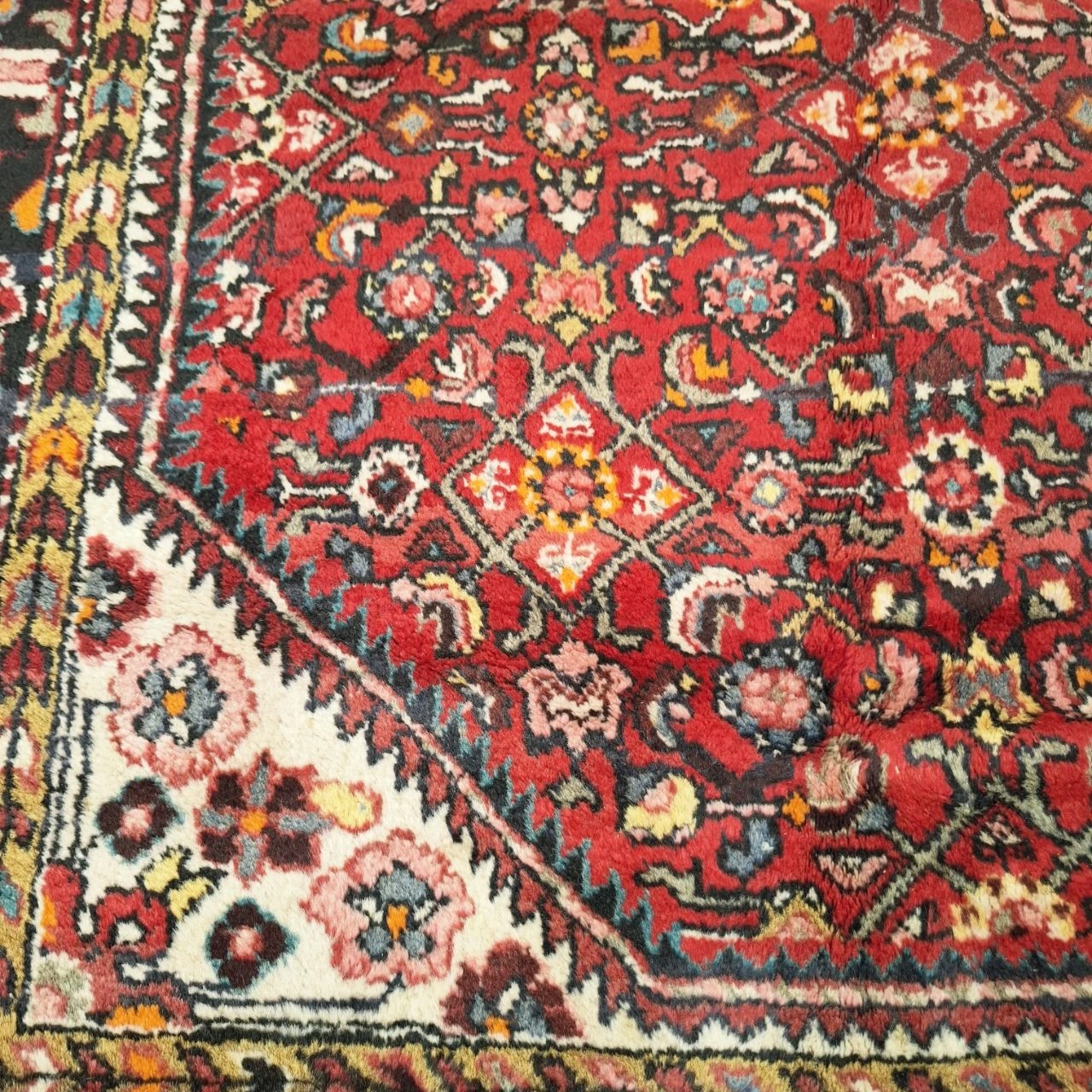 carpet-farshboom-6126475420