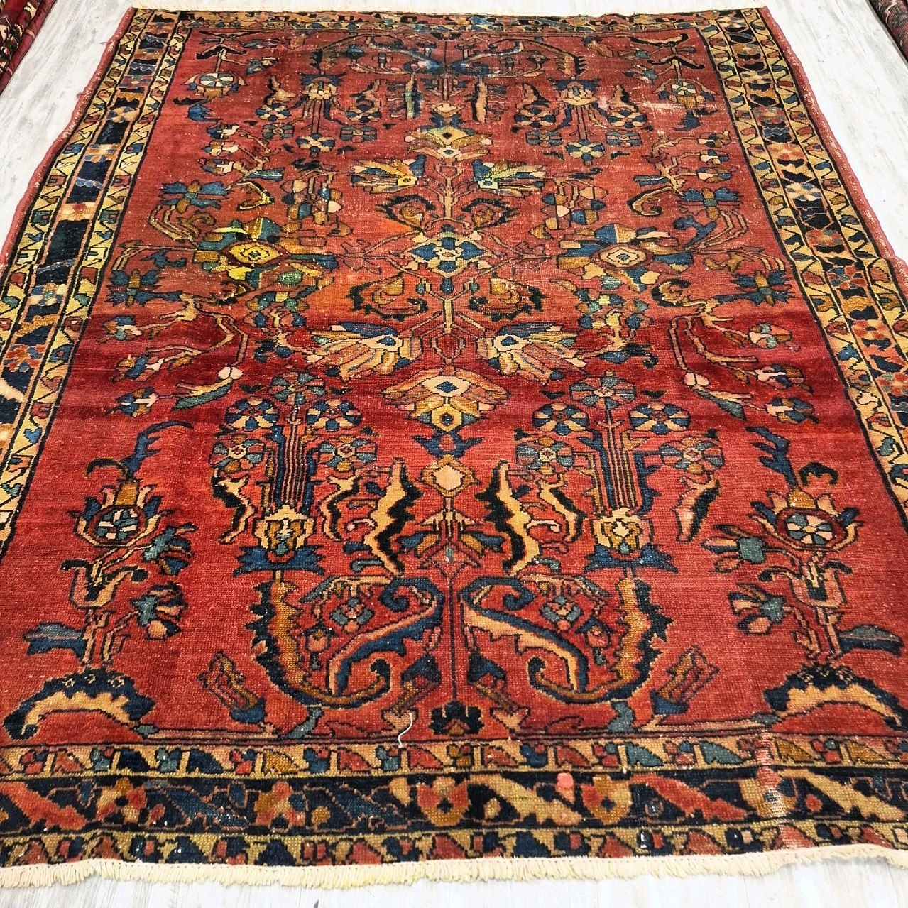 carpet-farshboom-6186941312