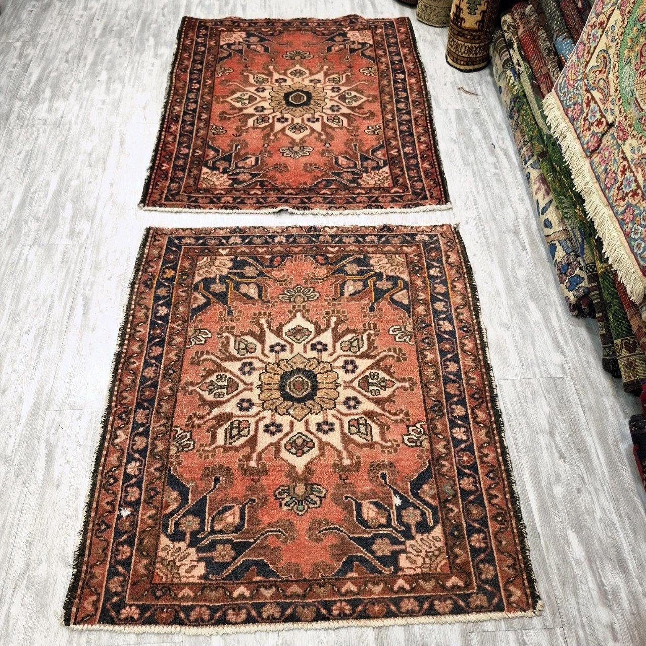 carpet-farshboom-6511074268