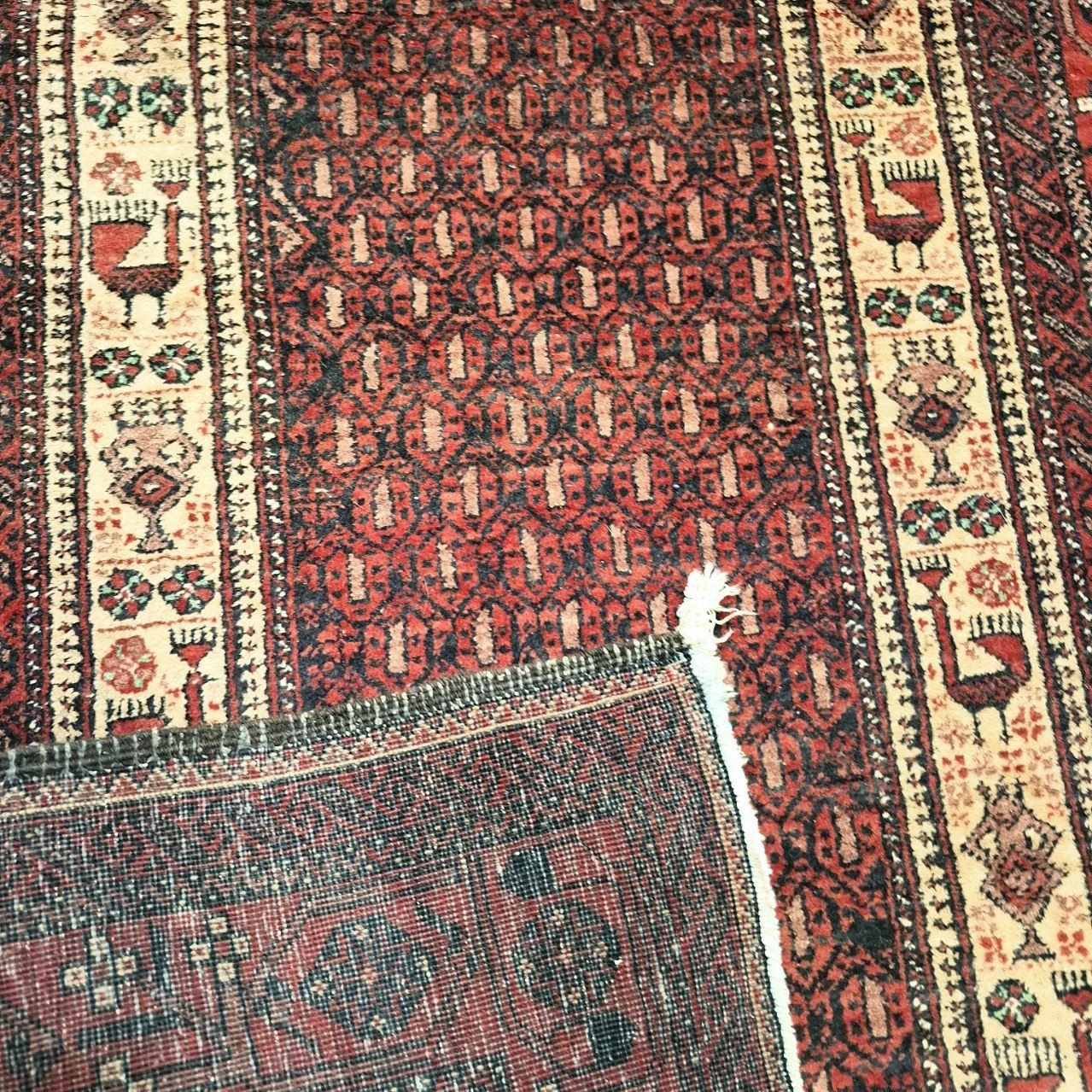 carpet-farshboom-6788718094
