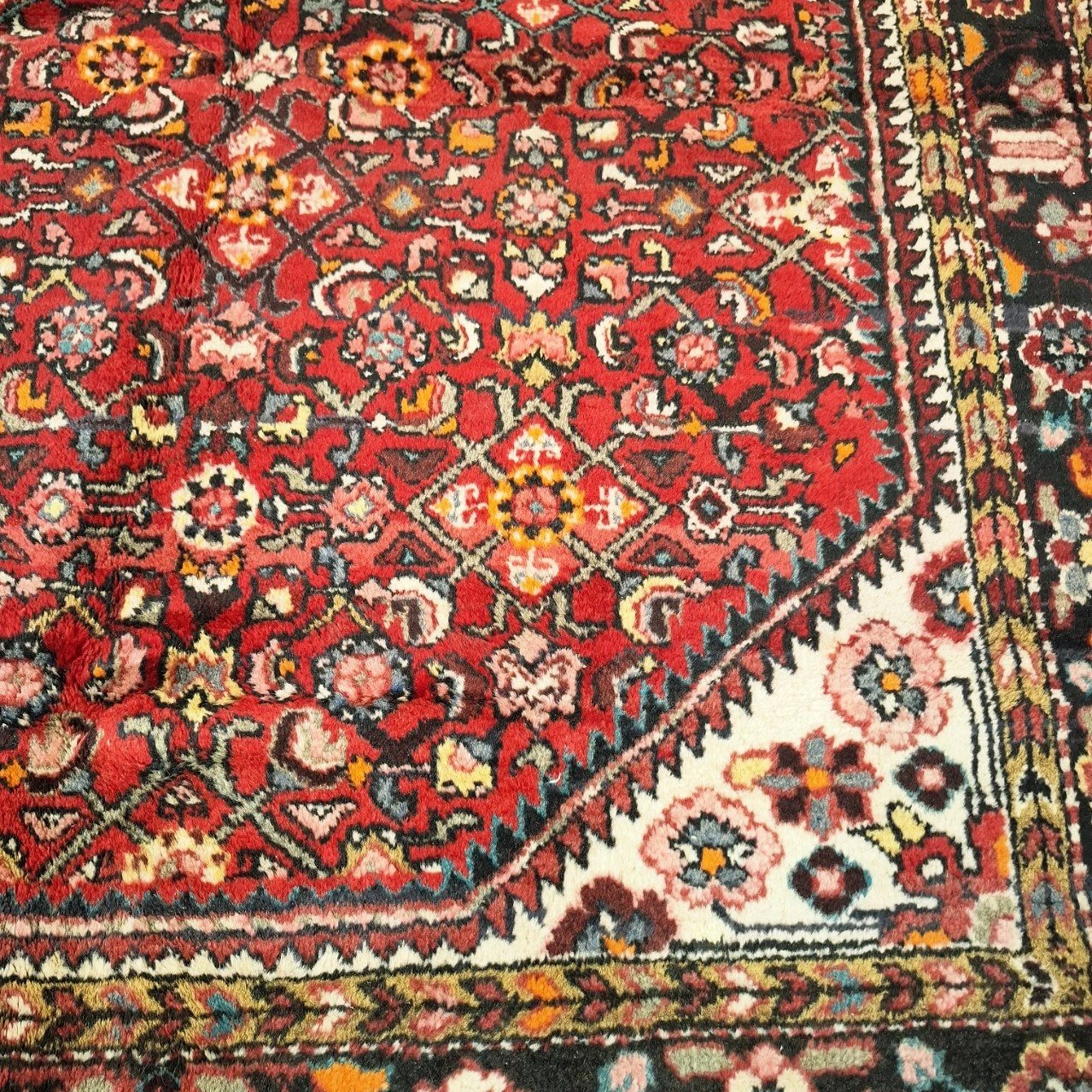 carpet-farshboom-7444616262