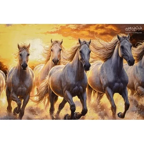 carpet-farshboom-8513374885
