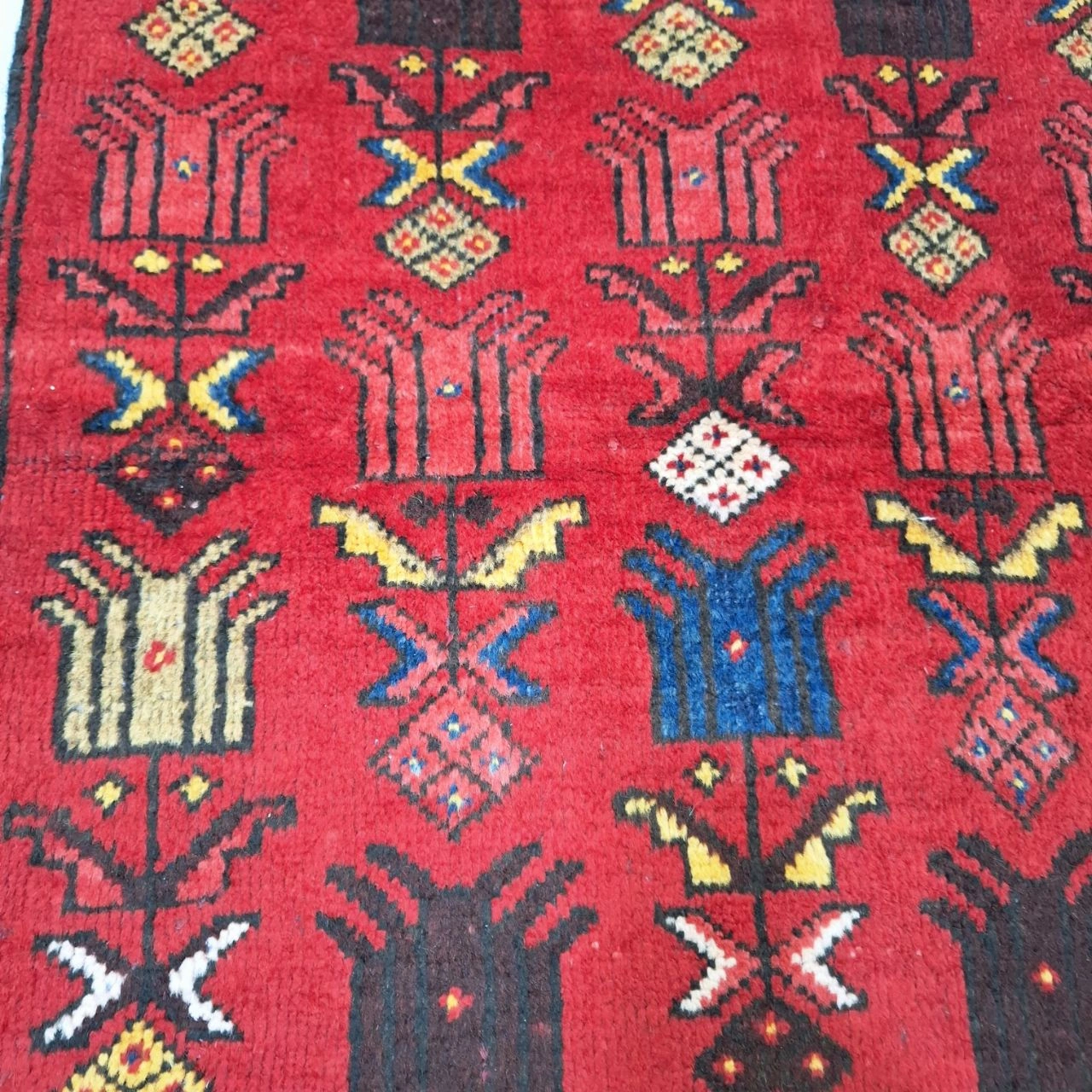 carpet-farshboom-8769401739