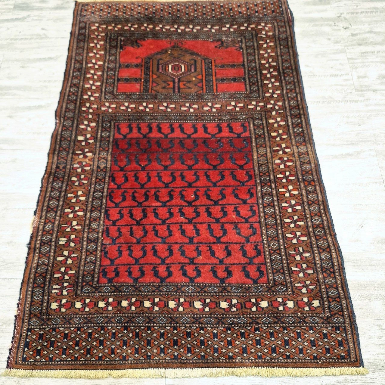 carpet-farshboom-8773839045