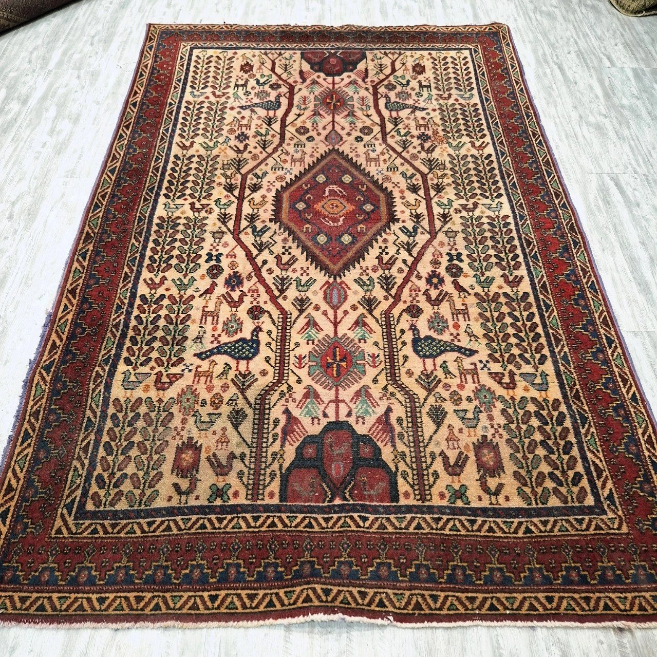 carpet-farshboom-9096049979