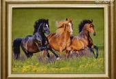 carpet-farshboom-9203701862