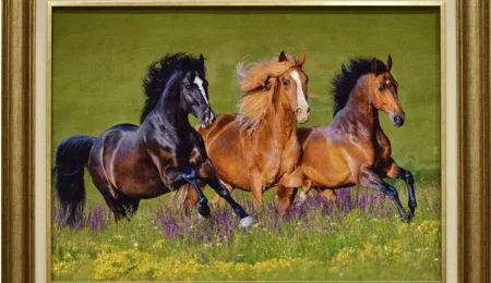 carpet-farshboom-9203701862