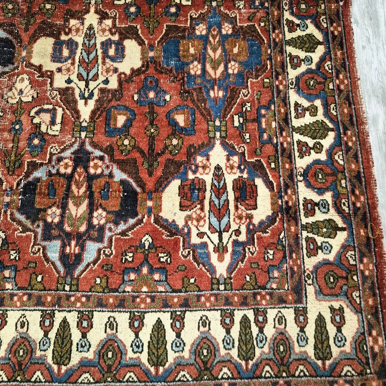 carpet-farshboom-9527944840
