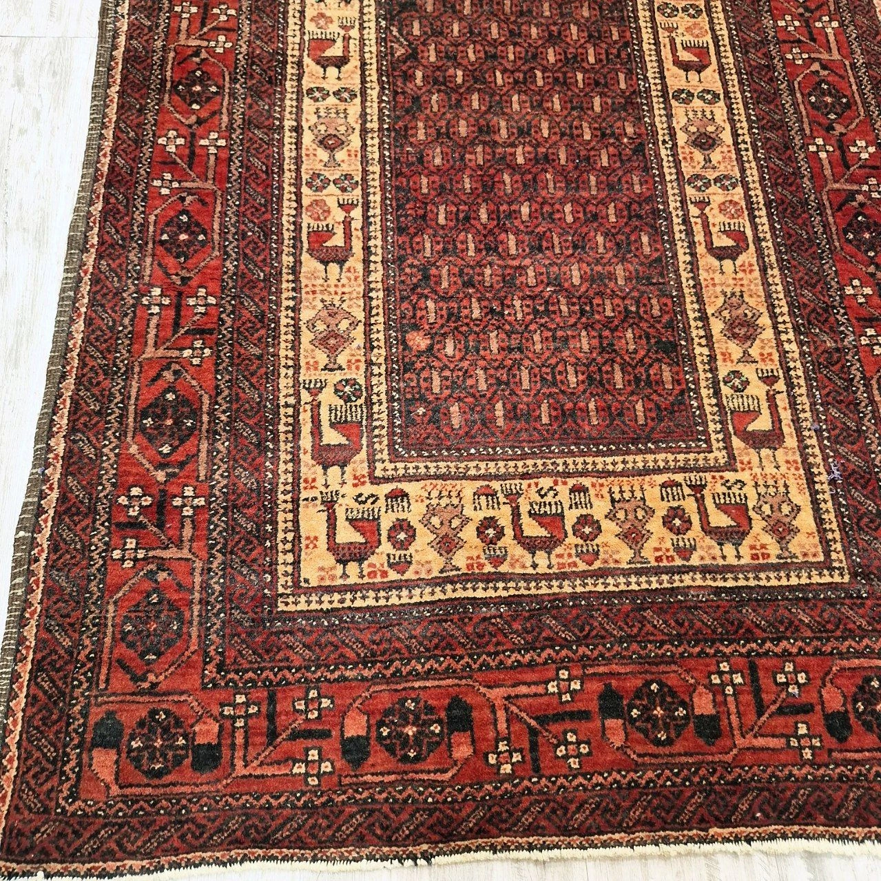 carpet-farshboom-9960936805