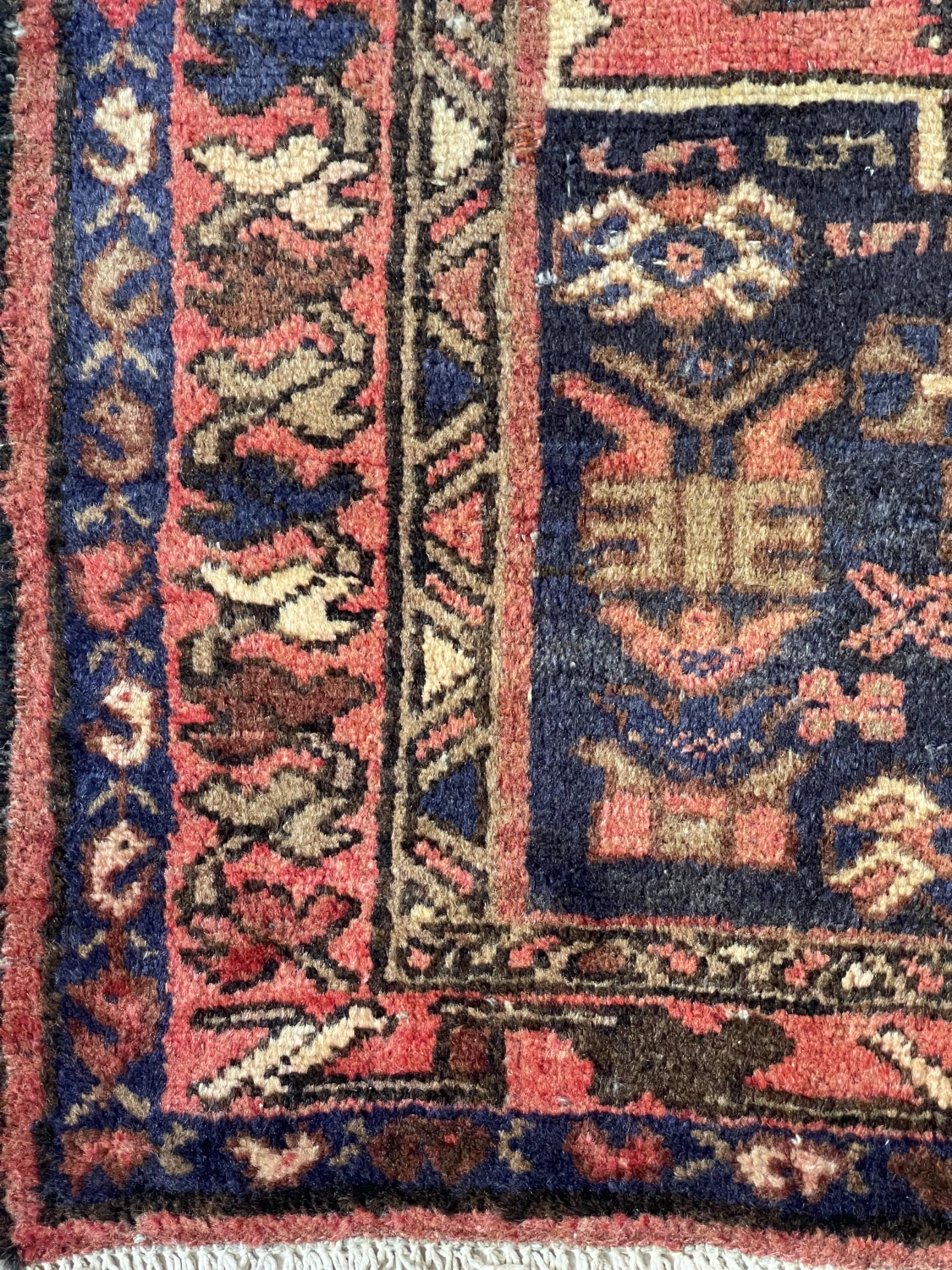 carpet-farshboom-0588960495