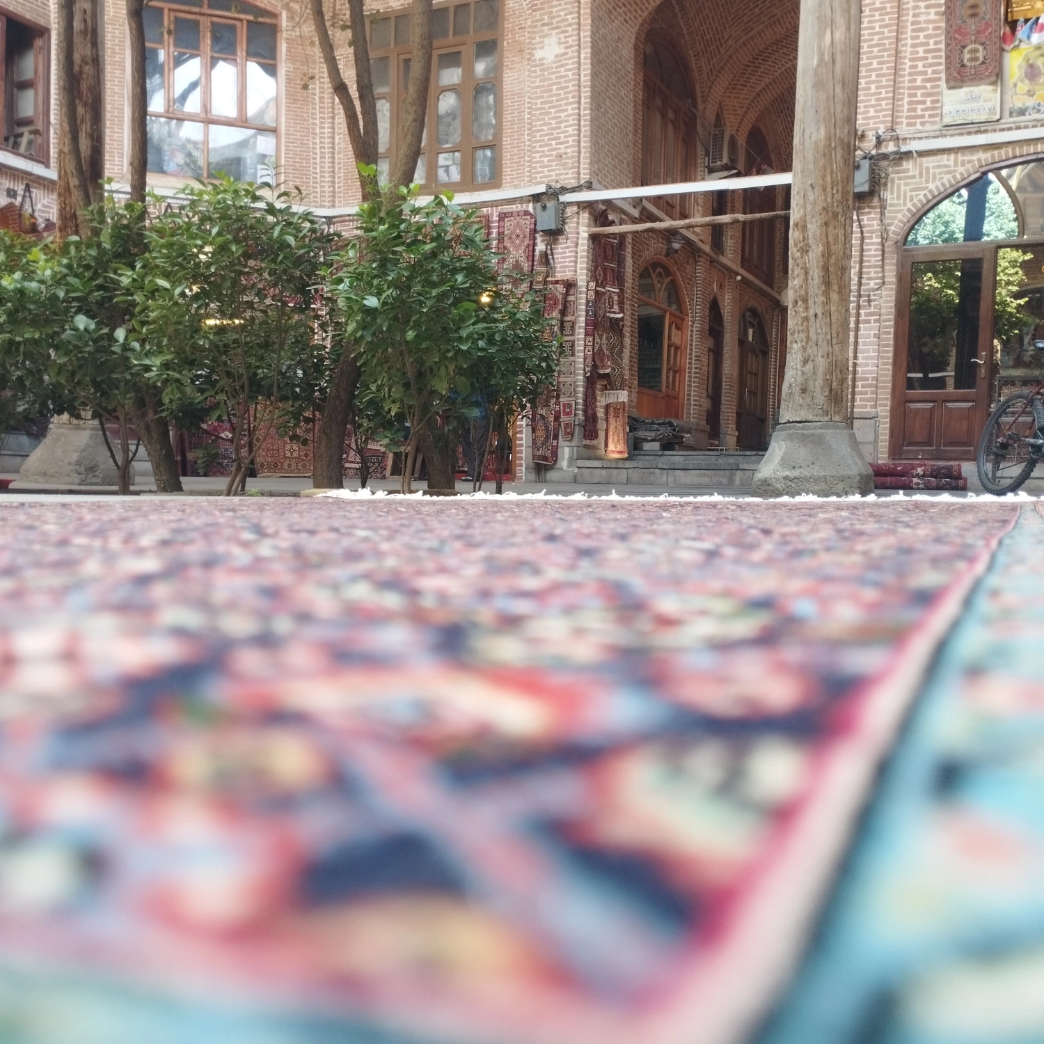 carpet-farshboom-0095732583