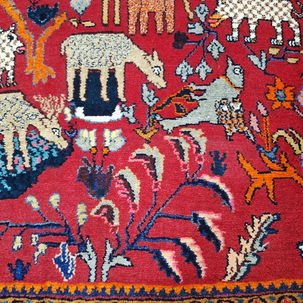 carpet-farshboom-0710698915