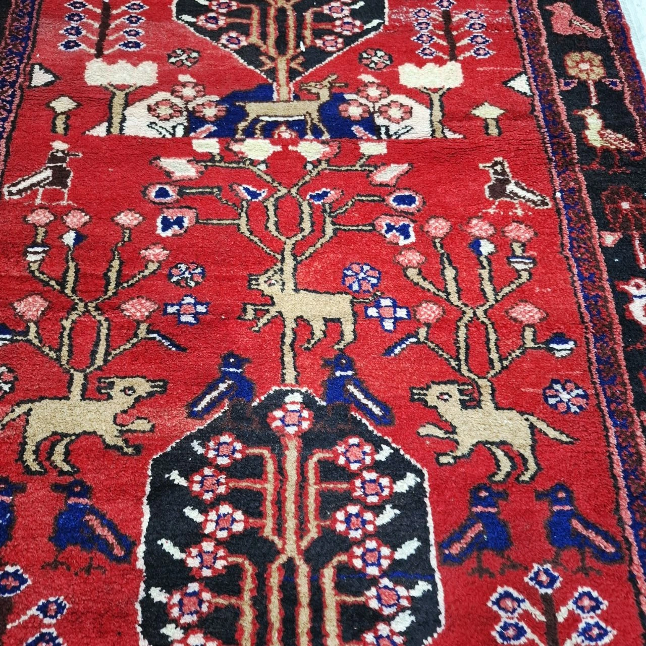 carpet-farshboom-0923246992